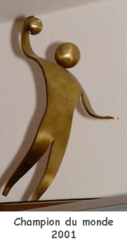 Jol Abati est un sportif franais qui est champion du monde et champion olympique de handball. Il a accept une proposition de la part d'une quipe allemande et vit dsormais  Magdebourg.