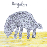 Pangolin