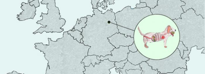 Carte de l'europe avec Berlin au centre et chien qui a avalé des balles de tennis 