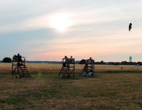 Czekania na zachód słońca nad Polem Tempelhof