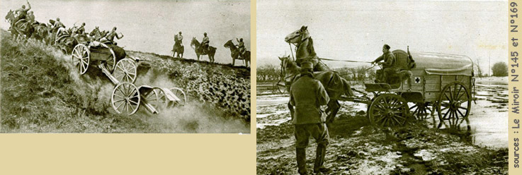 Pferde im Krieg