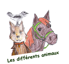 Les différents animaux