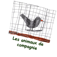 Les animaux de compagnie