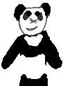  Panda ZooParc Beauval